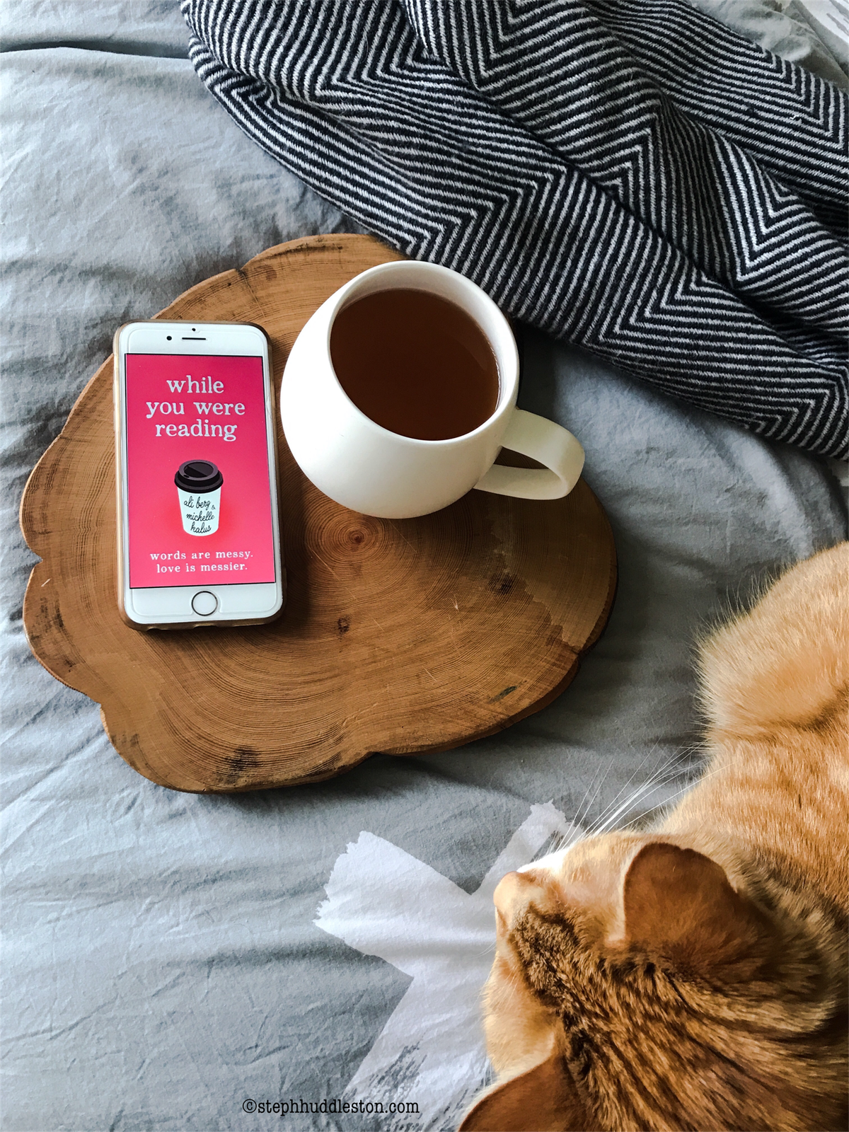 Ginger cat cuddles up next to 'While you were reading' book and cup of tea