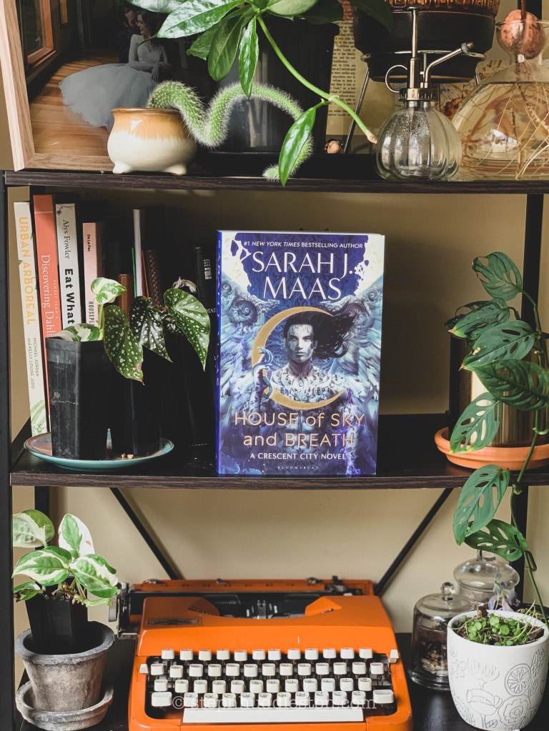 The book, House of Sky and Breath by Sarah J Maas sits on a shelf surrounded by plants. On the shelf below an orange typewriter sits.